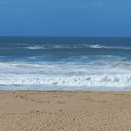 plage et forêt Pobral Extérieur photo
