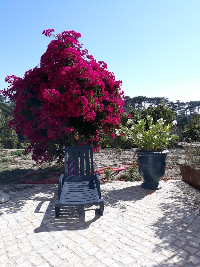 plage et forêt Pobral Extérieur photo