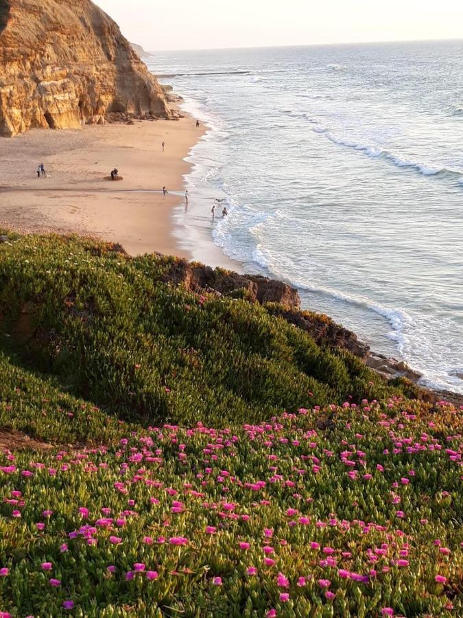 plage et forêt Pobral Extérieur photo
