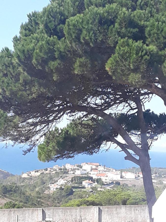 plage et forêt Pobral Extérieur photo