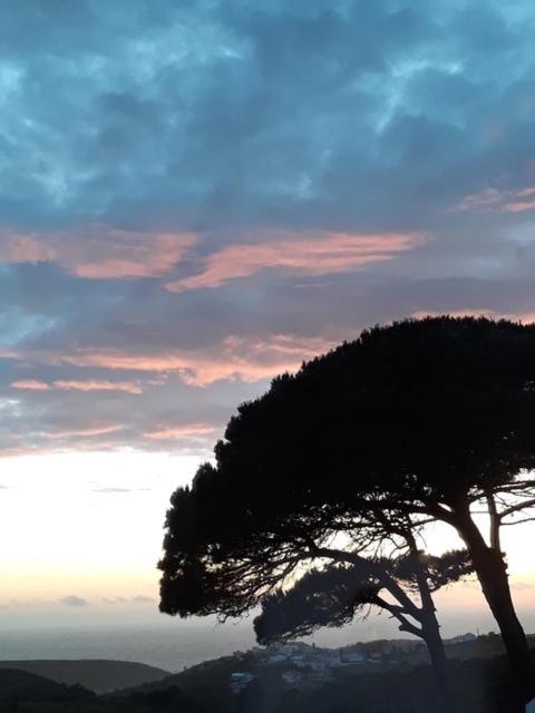 plage et forêt Pobral Extérieur photo