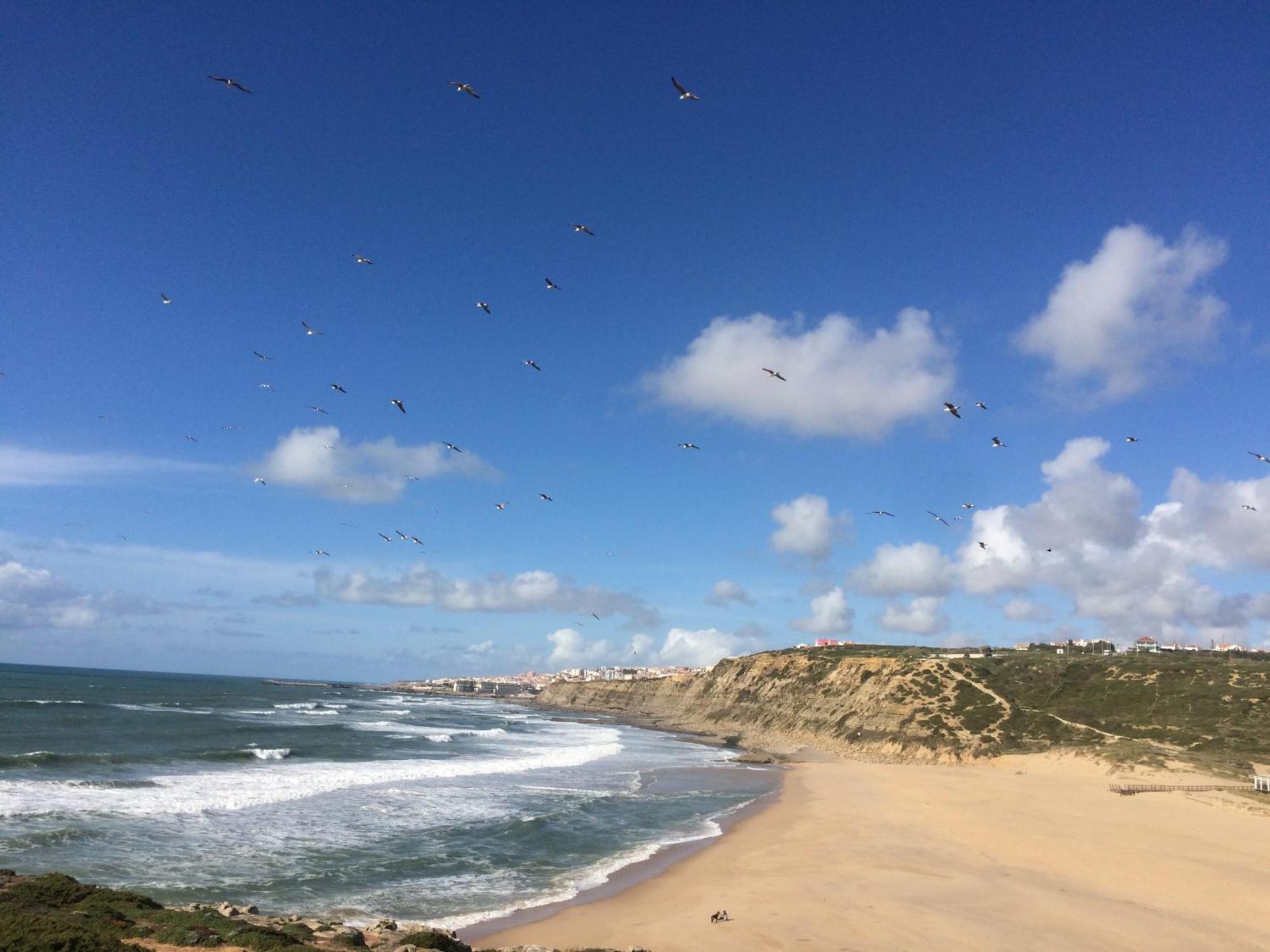 plage et forêt Pobral Extérieur photo